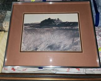 Photo of salt marsh, 1977