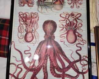 Octopods framed poster