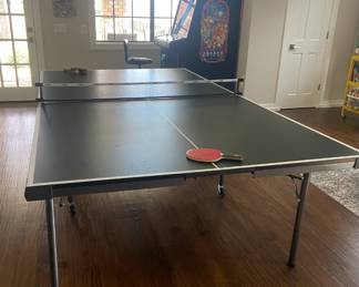 Ping Pong Table