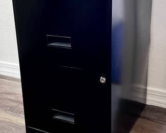 Small file cabinet organizer