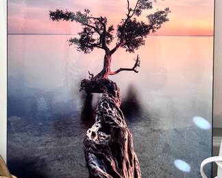 Nature photography artwork 