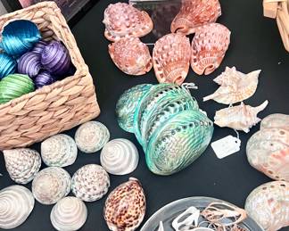 Cute seashell decor