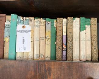 Bobbsey Twins Books