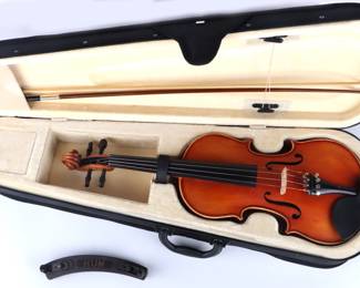 Violin with case