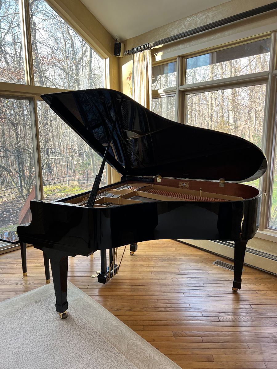 We are taking bids for the piano. The STARTING BID is $3000. Please text 9084272661 with your offers. Thank you