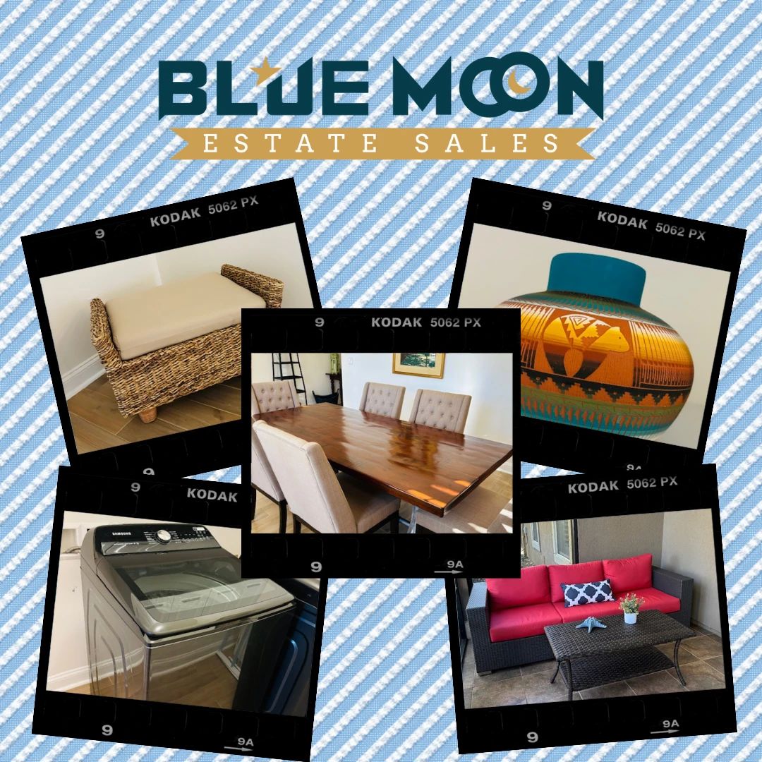 Fernandina Highlights