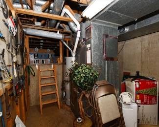 1259Basement