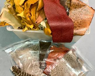 Snake Skins loose and mounted. Feather for Crafts. Leather 