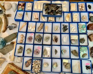 Small specimens and animal teeth for jewelry making etc