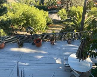 The back area & all around the large deck area are amazing cactus, vintage pots, a Brown Jordan patio set, large braided ficus trees, Kentia palms, a vintage bakers rack with potted plants, decorative ranch art & more!