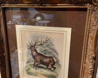 We have several wildlife prints, matted and framed... This art was tastefully done by quality frame shops, price was not an issue.
