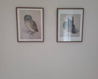 Owl and Rabbit Pictures