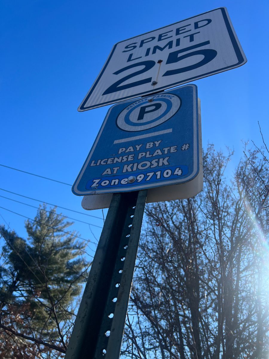 Hydrangeas’ Estate Sales In New Hope starts on 1/6/2024