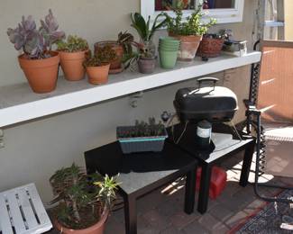 Begin Back Patio Close Up Photos