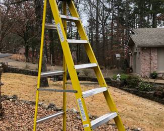 8ft ladder 