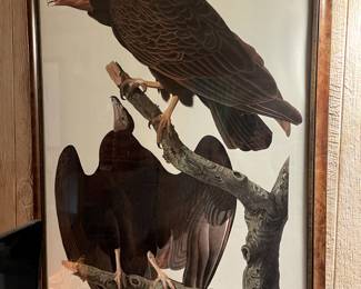 After Audubon Turkey Buzzards. $495