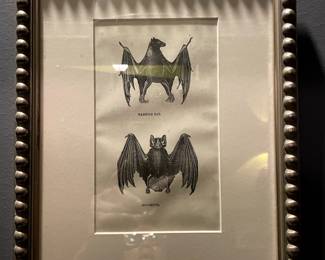 Antique Vampire Bat Etching. Price $275
