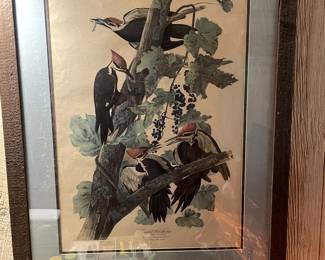 Audubon Pileated Wood Pecker, $1275