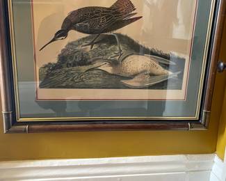 19th Century Etching, "Esquimaur Curlew Numentos Borealis, Male 1 Female 2". #13 Plate 357, 23 x 27. $375