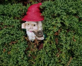 Garden gnome