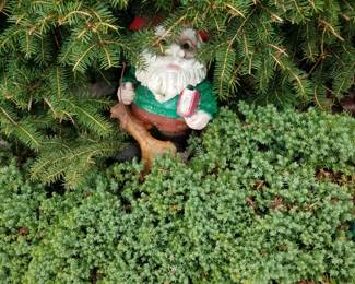 Garden gnome