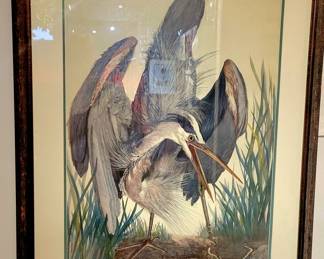 Watercolor print, 1921 limited edition, Great Blue Heron, signed and dated by artist, Carroll Tyson, similar to Audubon