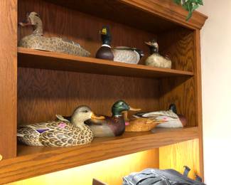 Duck decoys