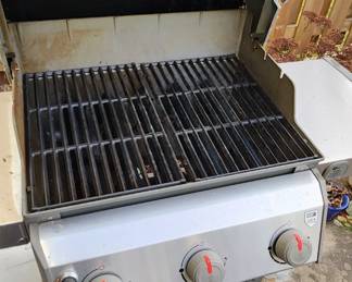 Spirit Weber Propane Gas Grill