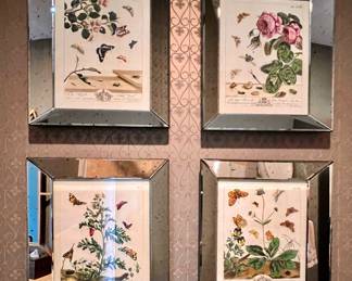 Set of 4 Mirrored Framed Botanical Prints