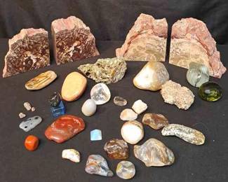 Petrified Wood Bookends Minerals