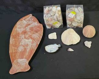 Seashell Lot