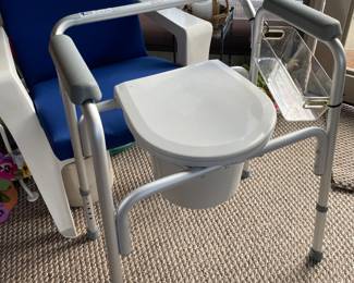 . . . potty chair