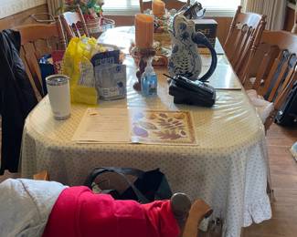 . . . nice dining table and chairs