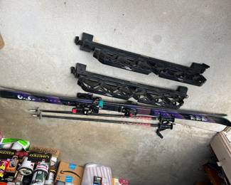 Skis and Ski Racks