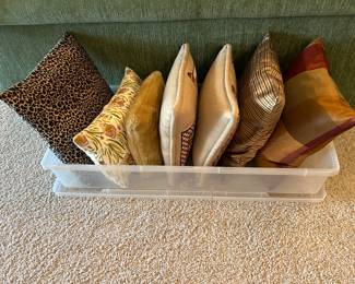 Decorative Throw Pillows