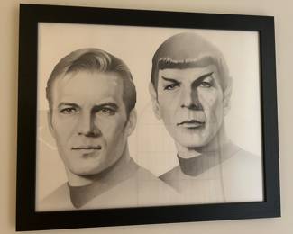 Star Trek Captain Kirk and Spock  Art