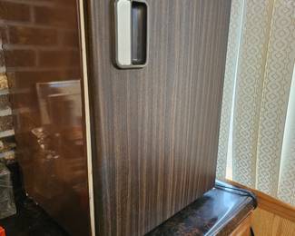 Avanti mini fridge, works