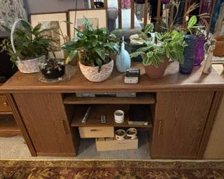 Desk ($15), plants