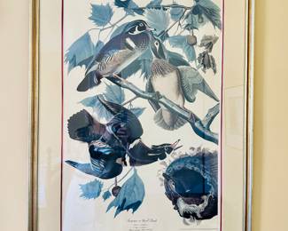 Audubon Print