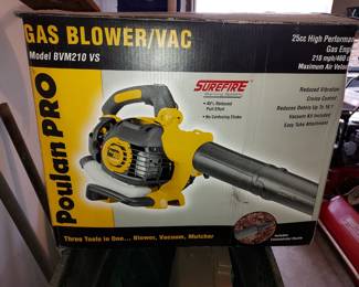 Gas Blower