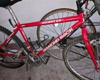 Diamond Back Ascent EX bike