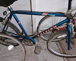 Raleigh Easy Riding bike