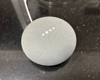 Google Echo Dot