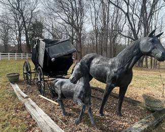 Horse, pony, and Amish buggy