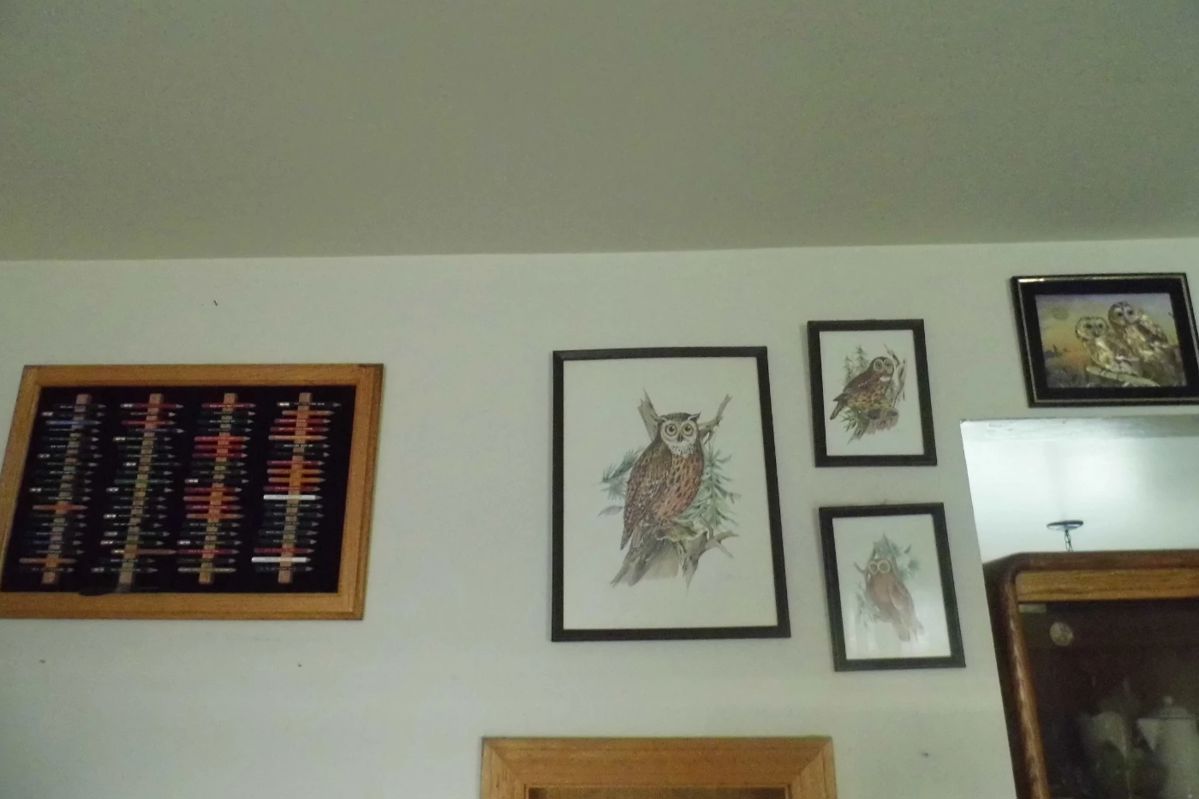 Huge Carmichael Estate Sale BY A Simple Solution... starts on 2/15/2024