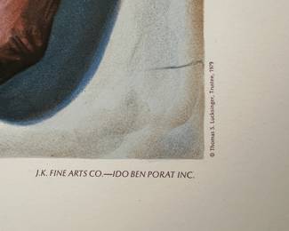 Pablo Picasso Hand Study Print