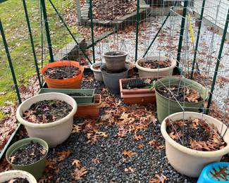 Various flower pots for container gardening 