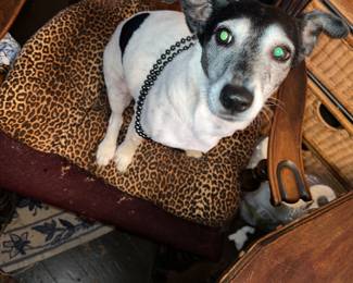 Helping mom with jewelry