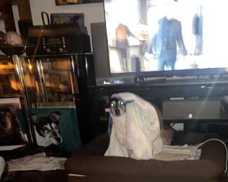 Not a fan of fireworks!