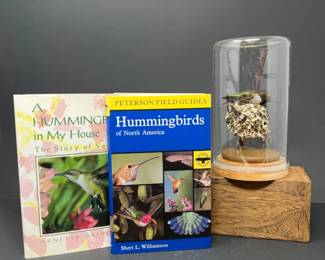 Something to Squeak About - Taxidermy Hummingbird & Books